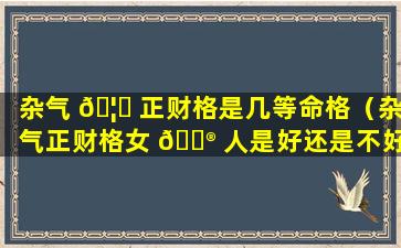 杂气 🦁 正财格是几等命格（杂气正财格女 💮 人是好还是不好）